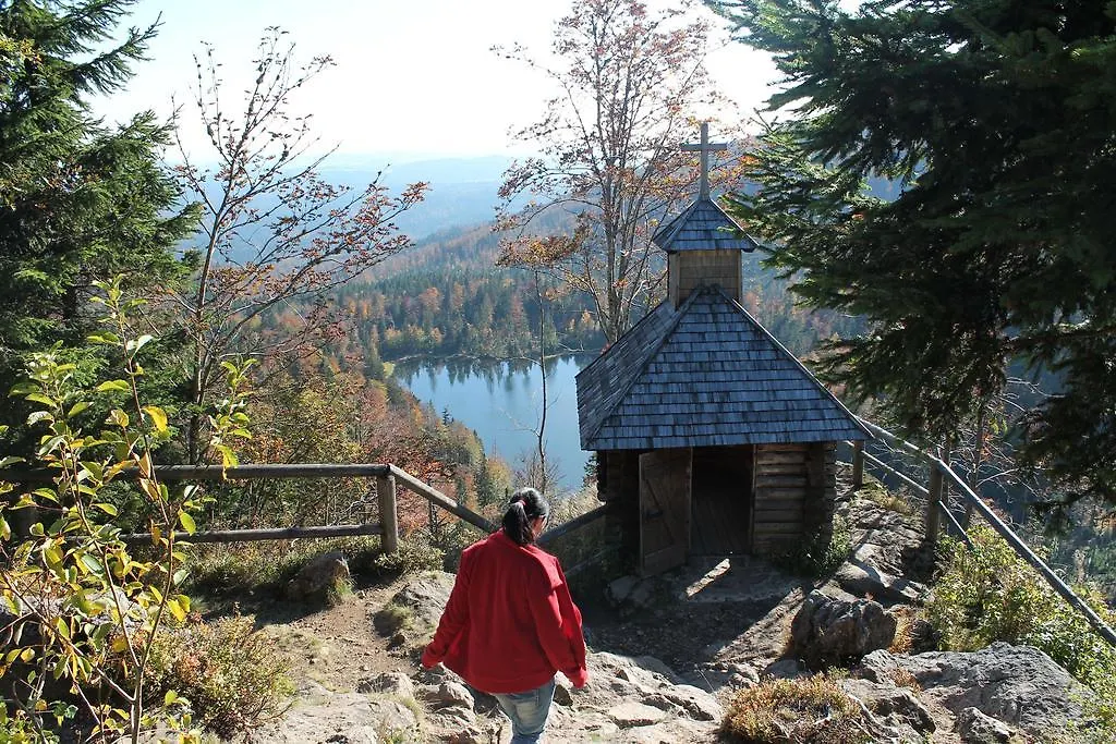 Ferienwohnung-Frisch Grafenau Grafenau (Bavaria)